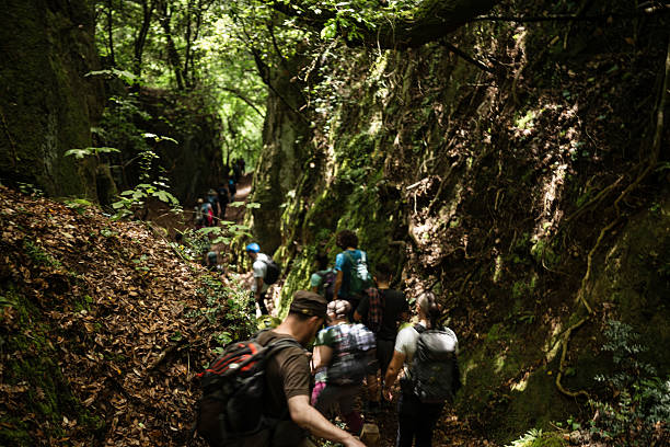 istock Group of hikers through a 