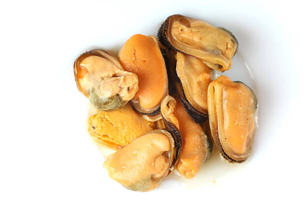 A vibrant display of fresh mussels showcases the natural colors and textures, highlighting their culinary appeal and freshness.