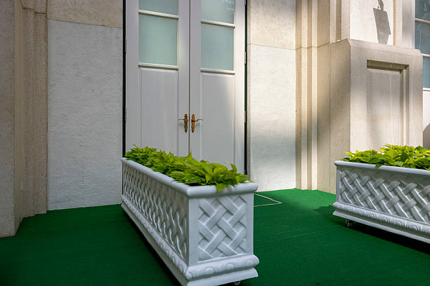 A small path covered in green carpet, with flower pots planted on both sides, leads to a white door. The scene is meticulously crafted, evoking a sense of tranquility and precision. Ideal for showcasing architectural or landscaping concepts.