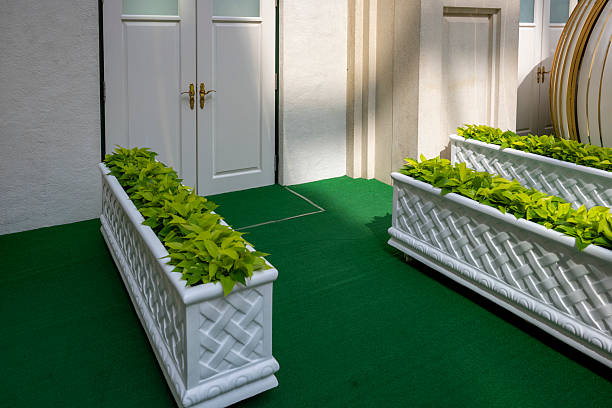 A small path covered in green carpet, with flower pots planted on both sides, leads to a white door. The scene is meticulously crafted, evoking a sense of tranquility and precision. Ideal for showcasing architectural or landscaping concepts.