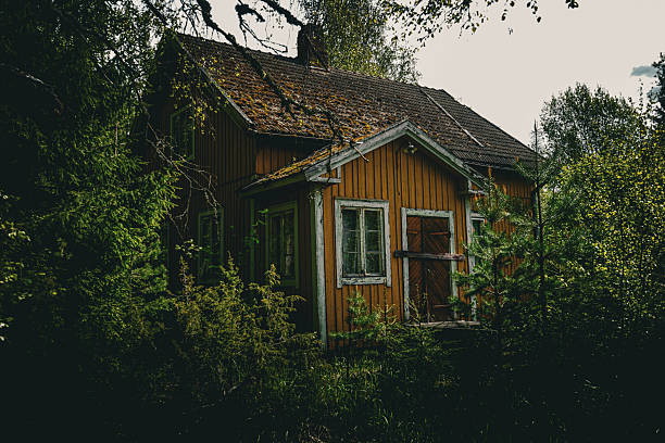 Abandoned house in Scandinavian forest during winter.