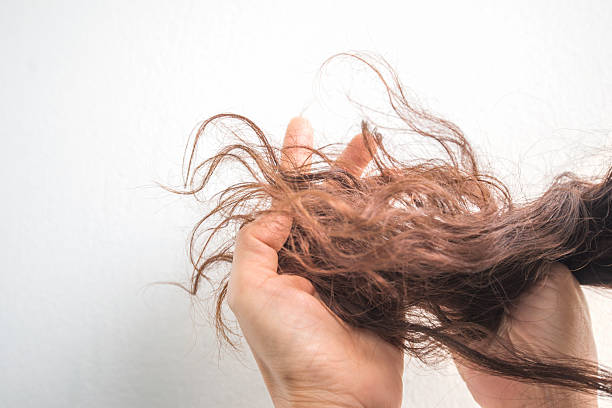 istock Hair loss problem concept. Woman's hand holding hair on white background 2217141978