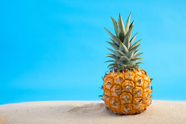 Enjoy a vibrant Pineapple themed Beach Vacation with cheerful Starfish Beachball Sandals and stylish Sunglasses Isolated on a Blue Background