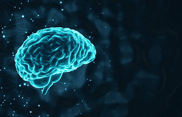 istock A glowing human brain on a dark blue background 2217147403