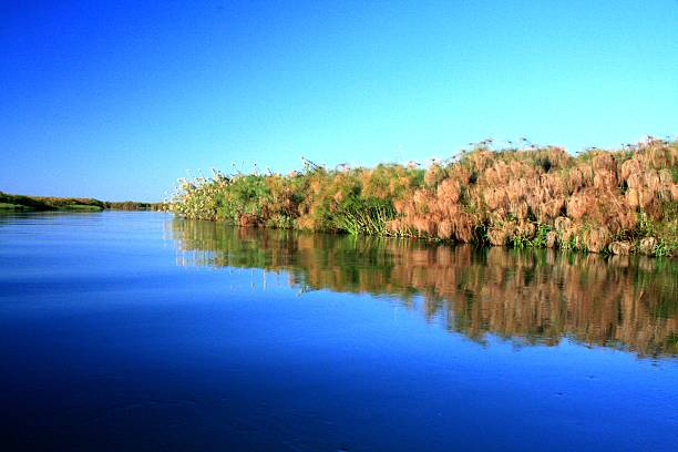 Serene natural South african Landscape With Calm river and Vibrant Blue Sky Reflection