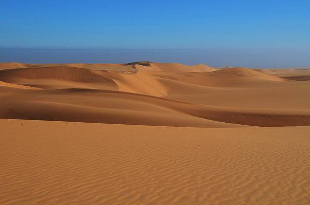 istock Expansive dry Desert Landscape with Rolling Sand Dunes in Namibia 2217148155
