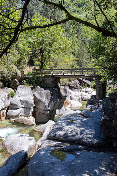 istock Rustic Wooden Bridge Over Rocky Stream 2217151811