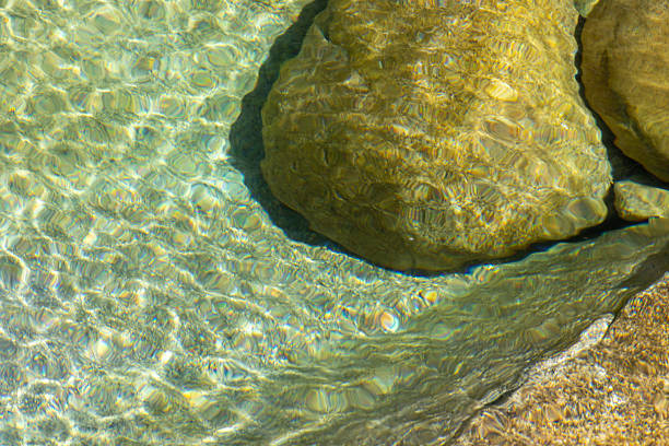 High-angle, close-up shot depicting the surface of shallow, clear water with submerged rocks. The water displays subtle ripples, causing light refraction and creating a textured pattern on the water's surface. The rocks are smooth and appear light brown to olive green in color, with variations in tone due to the water and light. The image has a high degree of clarity and showcases the interplay of light and water on the submerged rocks. The overall color palette is dominated by various shades of green and brown.  The image is sharply focused, revealing fine details in both the water and the rocks.
