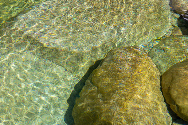 Close-up shot of several rocks partially submerged in clear water.  The image showcases the interplay of light and water, resulting in visible light refraction and ripple patterns across the surfaces of the rocks.  The rocks exhibit variations in shape, size, and color, ranging from light to dark olive-green hues.  The water's transparency allows for clear visibility of both the rock textures and the subtle undulations of the water itself. The overall color palette is muted, dominated by various shades of green and brown. The focus is sharp on the rocks closest to the viewer, with a gradual decrease in sharpness toward the background.  The texture of the rocks appears smooth in certain areas and rougher in others.