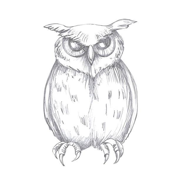 istock Fantasy style owl image. Isolated pencil illustration for coloring book design, greeting cards, Halloween theme parties, fabric printing, interior design. 2217155385