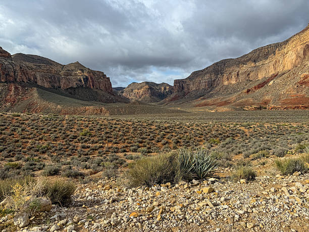 istock Hiking through the Grand Canyon 2217156624