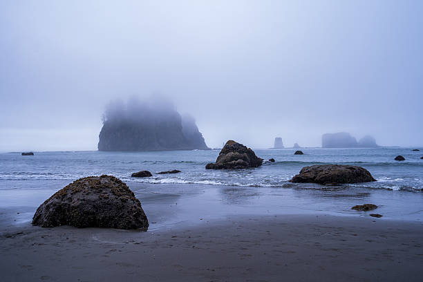istock Olympic National Park - Rialto Beach 2217160683