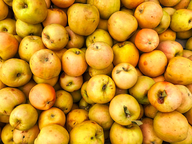 Golden apples