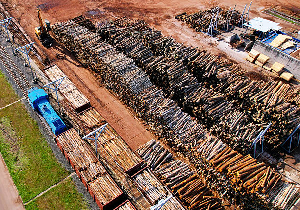 istock Timber warehouse on Timber plant, 2217170743