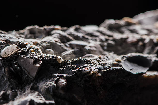 istock The effect of an ancient sea stone 2217177538