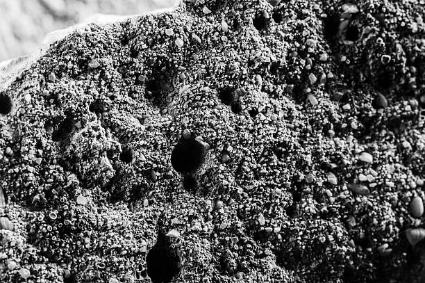 istock The surface of the stone is uneven and slightly grainy 2217177816