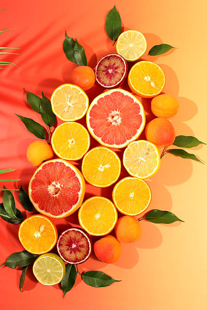 istock Summer in a snapshot, oranges, apricots, lemons, grapefruit on a bright background with shadows from a palm tree, Tropical background with exotic fruits, fruit sunny banner. template for your design 2217181162