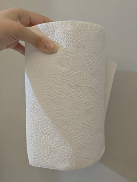 istock Hand holding a big paper towel 2217185384