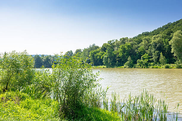 istock summer nature with lake among forest on hill 2217187785