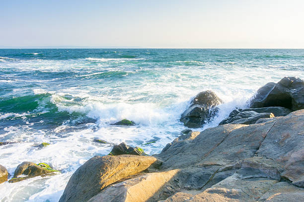 istock rocks at the black sea in summer 2217187804