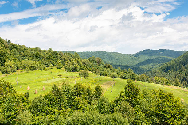 istock countryside mountain landscape in summer 2217187888