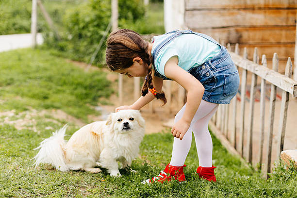 A little girl petting a small, fluffy white dog. The girl is wearing a light blue shirt, denim overalls, white tights, and red shoes. She is bending down gently to touch the dog's head. They are outside, near a wooden fence and some grass. The moment looks calm and sweet, showing a nice bond between the child and the dog.