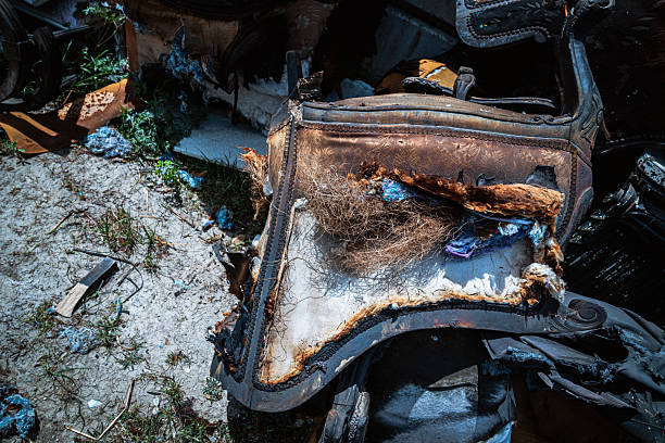 After the Fire The Abstract Textures of Destruction