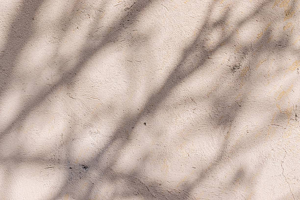 istock Tree branches shadows on light beige plastered concrete wall on summer day, natural plant background 2217191401