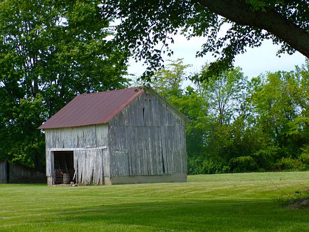 istock Barn on sunny day and trees. 2217191718