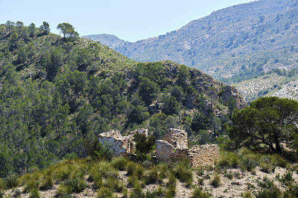 Ancient ruins amidst scenic mountain terrain and lush forest landscape.