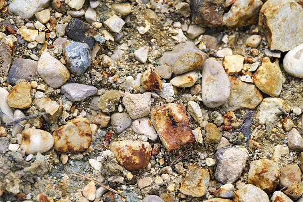 Close-up of diverse pebbles and stones on sandy ground.