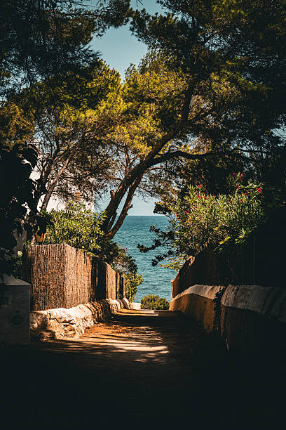 istock Summer at the sea 2217194206