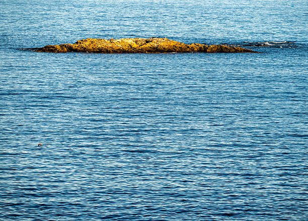 istock Small Rocky Outcropping Catches Sun Light With Ocean Copy Space 2217196053