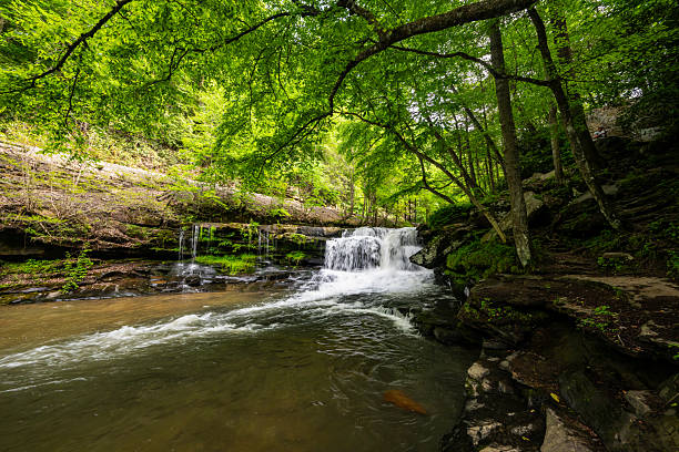 istock Wide Angle Of Dunloup Creek And Waterfall 2217196227