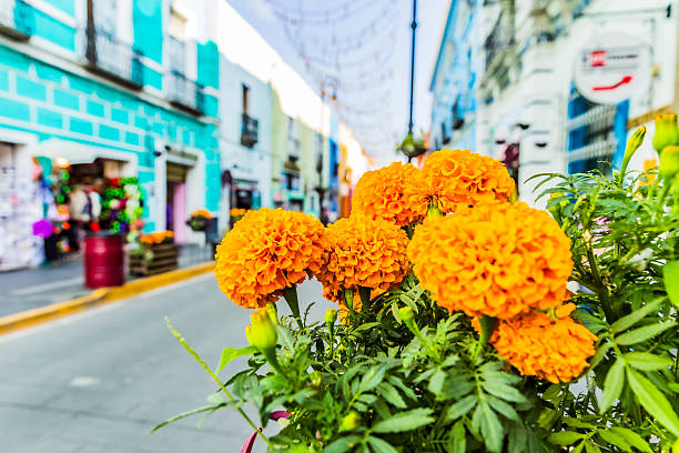 Atlixco streets decorated for Day of the Dead