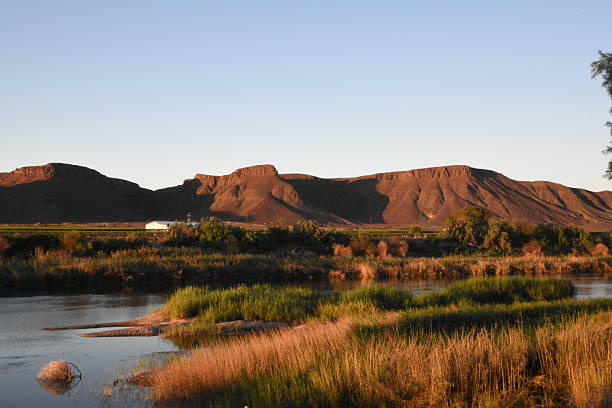 Tranquil Sunrise Over a calm South african River with Reflective Waters and Trees