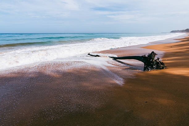 A tranquil beach landscape showcasing soft waves lapping against the shore.