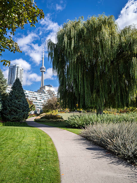 istock Toronto Waterfront Parks in Autumn 2217211294