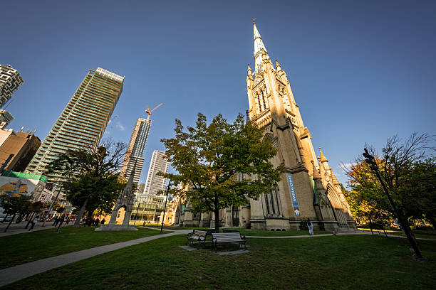View of St. James Cathedral in downtown Toronto during autumn, with the historic church bathed in golden light and surrounded by modern high-rise buildings.