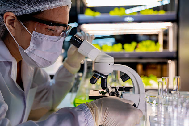 istock A researcher in a sterile lab conducts a scientific experiment using a microscope and test tubes. Cutting edge biotechnology and chemistry help develop breakthroughs in medicine and healthcare. 2217214189