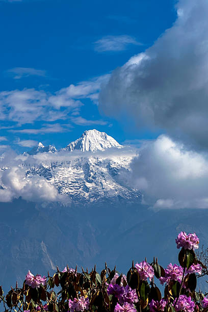 istock Landscape view of Mountain range 2217218978