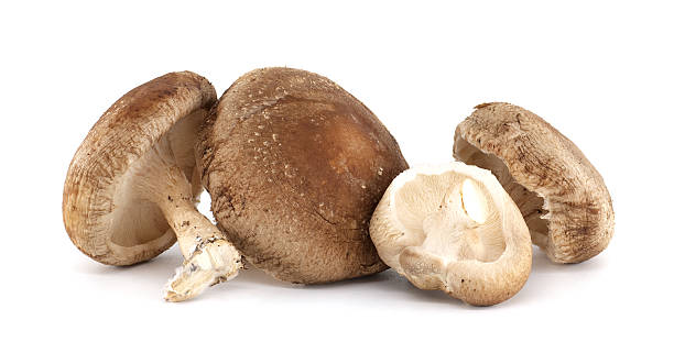 istock Fresh Shiitake Mushrooms Displayed for Culinary and Nutritional Uses 2217220384