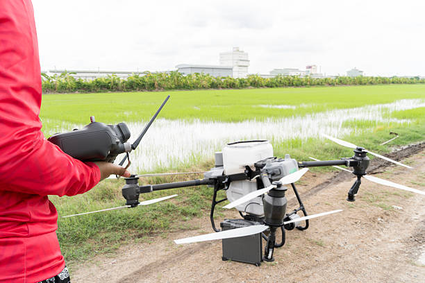 istock Farmer Operating Agricultural Drone in Rice Field with Remote Controller for Smart Farming Technology Concept 2217222331