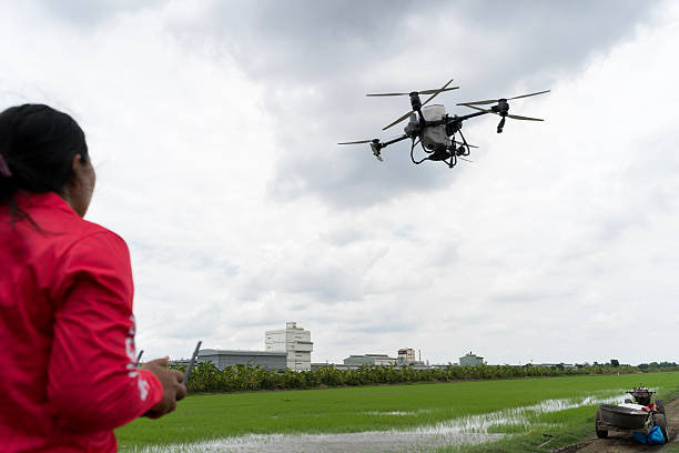 Drone Flying Over Rice Field with Female Farmer Operating Remote Control for Smart Agriculture Technology