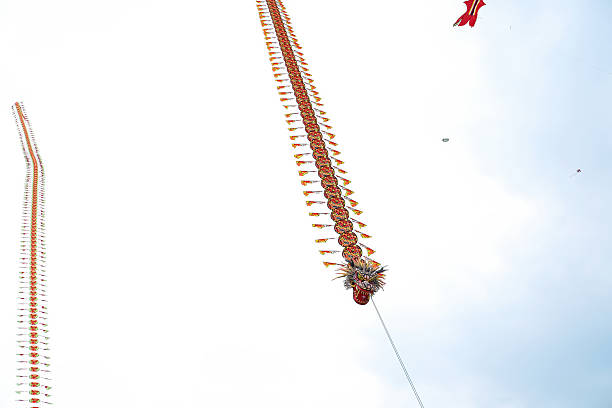Colorful Kite Flying High