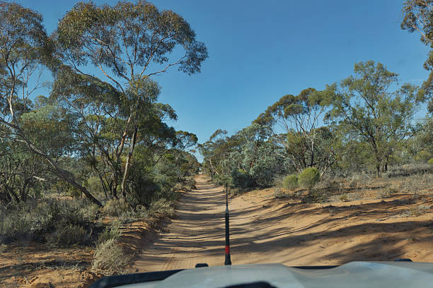 istock Sand Track in Murray Sunset National Park 2217226540