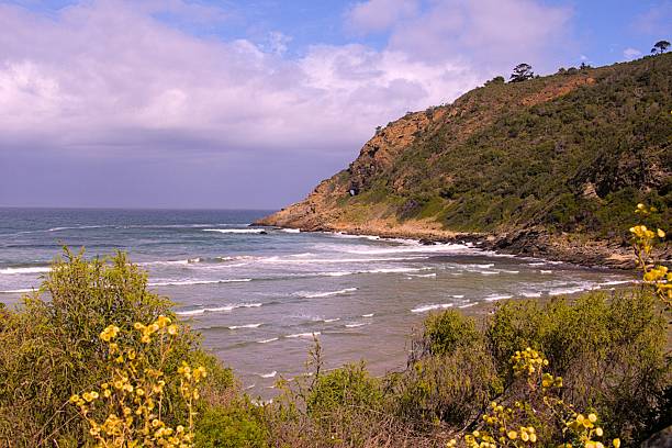 istock Scenic coastal view with rugged cliffs, wildflowers, and waves under a partly cloudy sky 2217226774