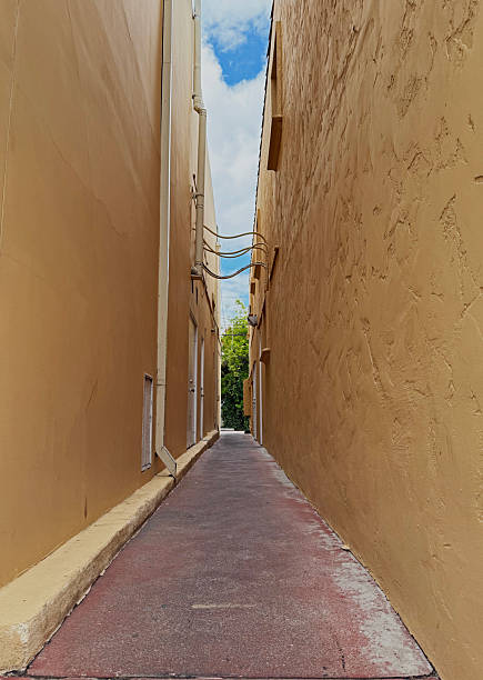 istock Walkway Alley in Los Angeles 2217226888