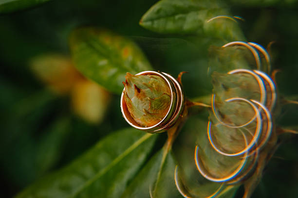 Two gold wedding rings rest delicately on a flower bud, with creative reflections adding an artistic touch to the romantic outdoor scene.