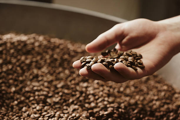 istock A hand with freshly roasted coffee beans 2217229900